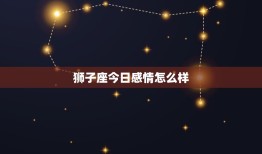 狮子座今日感情怎么样(爱情运势大好甜蜜满满)