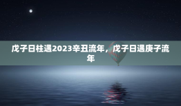 戊子日柱遇2023辛丑流年，戊子日遇庚子流年
