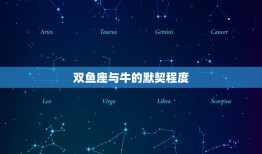 双鱼座属什么生肖厉害(探秘双鱼座与其他生肖的默契程度)