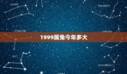 1999属兔今年多大(兔年生肖人的年龄计算方法)