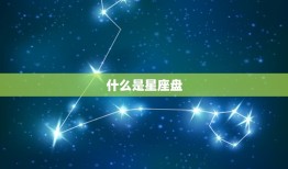 怎么看自己是什么星盘(轻松解读你的星座盘)