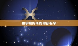 金字旁好听的男孩名字(给你的宝宝起个与众不同的名字)