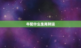 马配什么生肖财运(介绍搭配财富滚滚来)