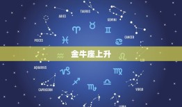 测星座上升星座查询表(快速解读你的人生密码)