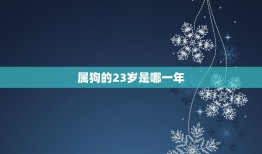 属狗的23岁是哪一年(狗年出生的你今年几岁)