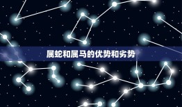 属蛇和属马的姻缘怎样(介绍属蛇和属马的星座配对)