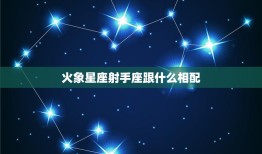 火象星座射手座跟什么相配(完美星座组合)