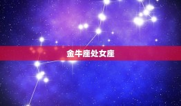 结婚最稳定的星座组合(哪些星座最适合步入婚姻殿堂)