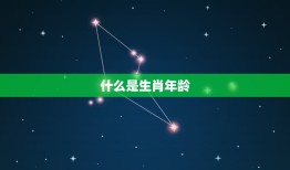 属兔的今年多大了了(兔年生肖年龄计算方法及注意事项)