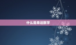 今日双鱼座幸运数字测算(介绍你的幸运数字)