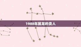 1988年属龙的贵人(如何在职场获得成功)