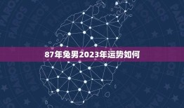 87年兔男2023年运势如何(详解兔年属兔人的运势)