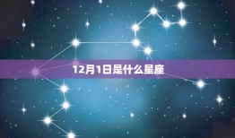 12月1日是什么星座(探寻12月1日出生人的星座秘密)