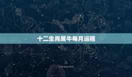 十二生肖属牛每月运程(2023年12月运势介绍)