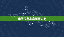 兔子今年本命年多少岁(解密兔子本命年的年龄计算方法)