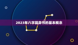 2023年八字算命书(介绍未来命运)