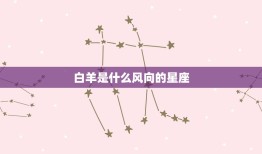 白羊是什么风向的星座(探秘白羊座的性格特点与命运趋势)