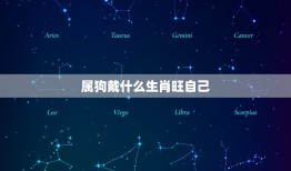 属狗戴什么生肖旺自己(如何选择适合自己的生肖饰品)