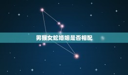 男猴女蛇婚姻是否相配(星座专家介绍)