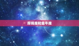 摩羯注定爱上哪个星座(星座配对大介绍)