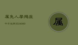 属兔人摩羯座今日运势(20240604)