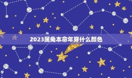 2023属兔本命年穿什么颜色(介绍本命年吉祥颜色)