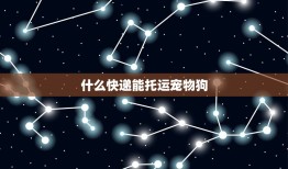 什么快递能托运宠物狗(全面介绍哪些快递公司可信赖)