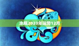 水瓶2023年运势12月(事业顺遂财运亨通)