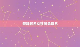 楚辞起名女孩属兔取名(寓意美兔子名字推荐)