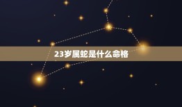 23岁属蛇是什么命格(介绍命运之路的起点)