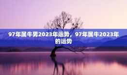 97年属牛男2023年运势，97年属牛2023年的运势