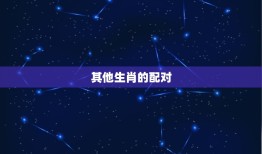 属鼠的和属狗相最配吗(介绍十二生肖配对大介绍)