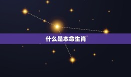 鼠年多大岁数2023(你知道吗2023年是哪个生肖的本命年)