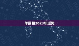 羊属相2023年运势(顺风顺水财源滚滚来)