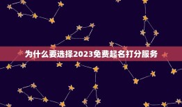 2023免费起名打分(专业起名让宝宝名字更有灵气)