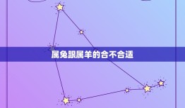 属兔跟属羊的合不合适(星座配对分析)