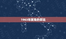 1963年属兔的命运(如何在变幻莫测的时代中保持稳定)