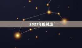 2023算命一年运势(介绍你的未来命运如何)