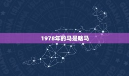 1978年的马是啥马(回顾中国农历马年的历史与文化)