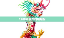 1988年属龙的婚姻配(如何选择最佳伴侣)