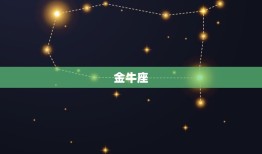 12星座梦幻星空壁纸(打造你的星空世界)