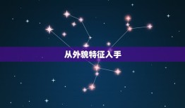 兔宝宝起什么名字女孩(如何给你的兔子宝宝取一个独特的名字)