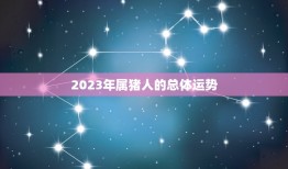 属猪2023吉星凶星(猪年运势大介绍)