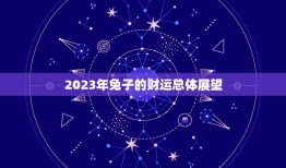 兔子今年的财运怎么样(2023年兔子的财运展望)