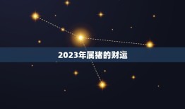 2023年属猪的财运(猪年大展宏图财运亨通)