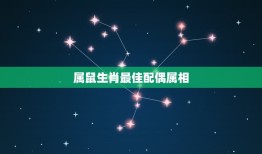 属鼠生肖配偶属相(介绍哪些属相最适合与鼠配对)