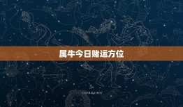 属牛今日赌运方位(大介绍如何在赌场中获得收益)