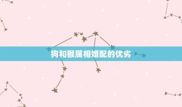 狗与猴属相婚配合不合(星座学家的解读)