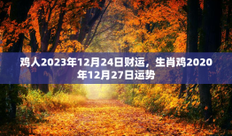 鸡人2023年12月24日财运，生肖鸡2020年12月27日运势