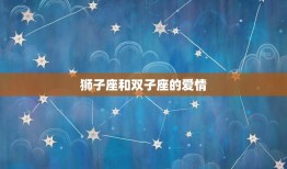 狮子座和双子座的爱情(星座组合火与风的激情碰撞)